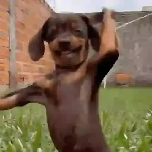 Mosaico Sinestesia em Guarapari-ES: Arte e Formação Comunitária